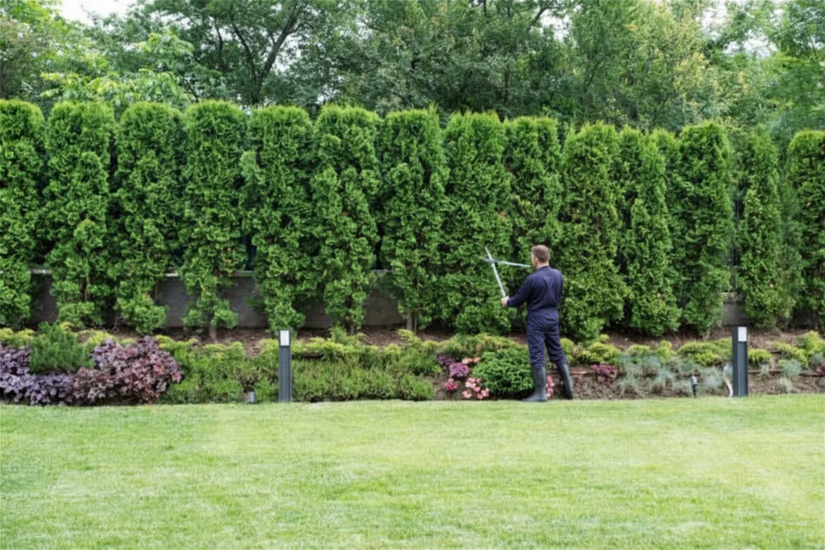 Find a trusted brush cutter nearby