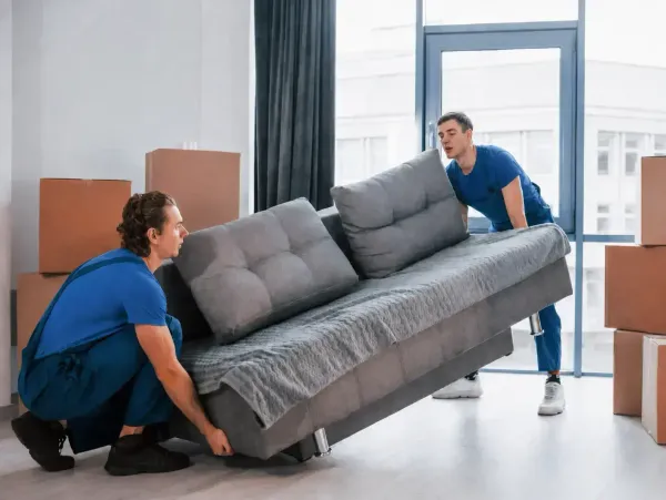 Furniture mover