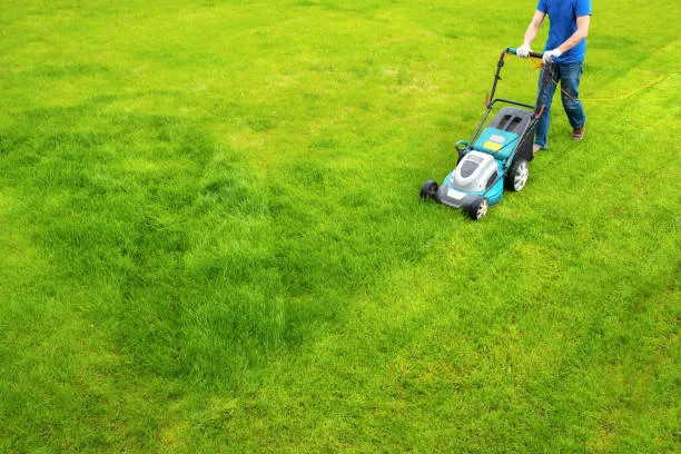 Get help from a trusted local lawn mower