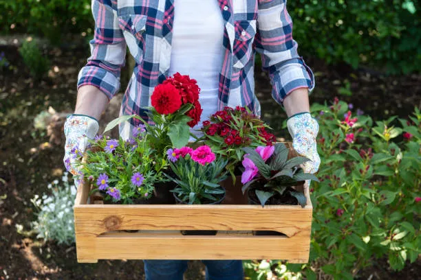 Find a trusted planter box builder nearby