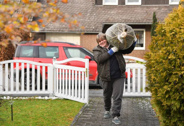 Find a local christmas tree delivery agent near you