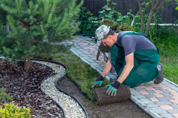 Find a local yard worker near you